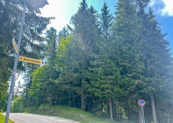 Tatry Ela Big Apartment