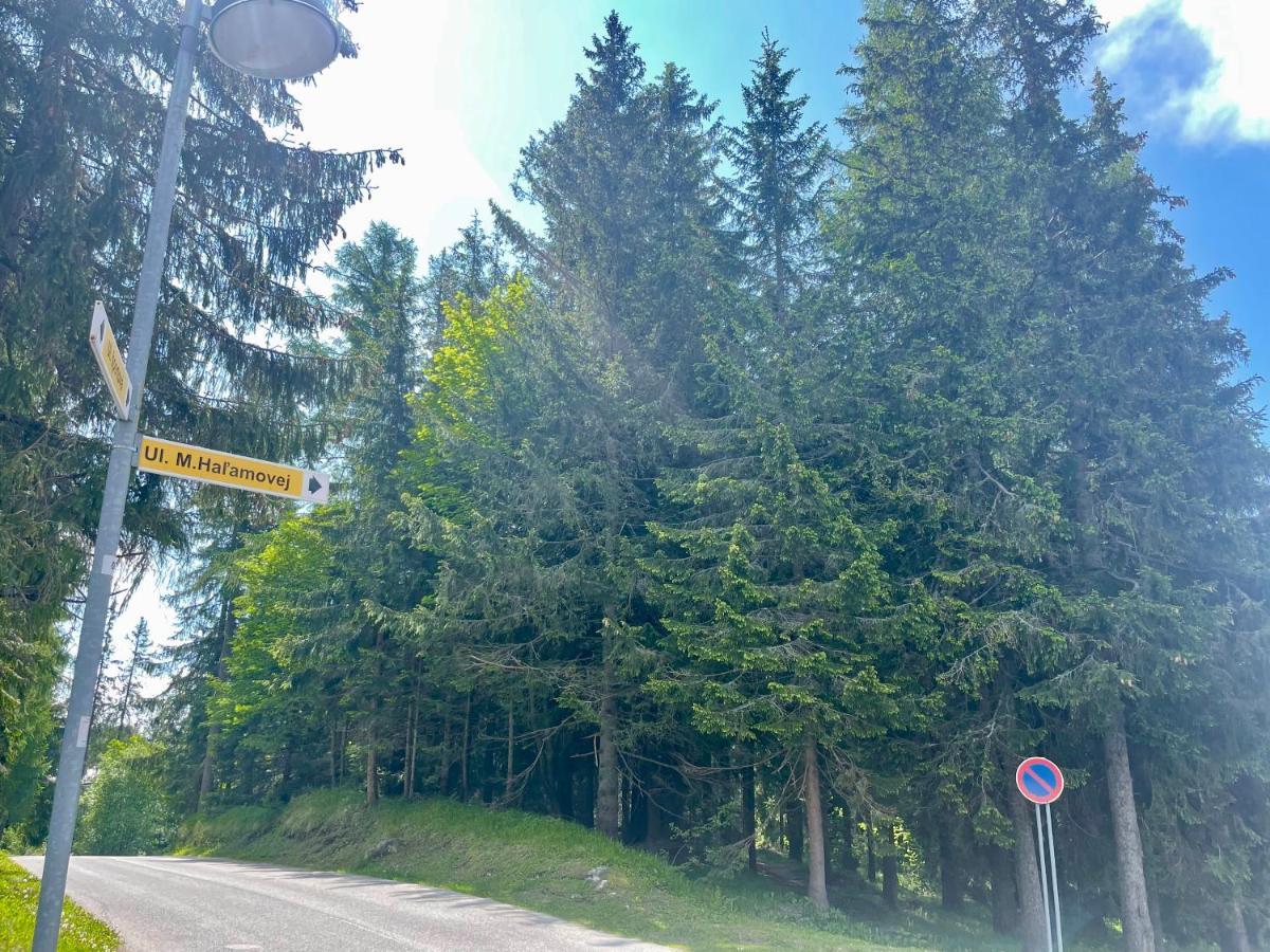 Tatry Ela Big *